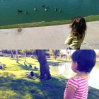 At Uncle Joe's Duck Pond